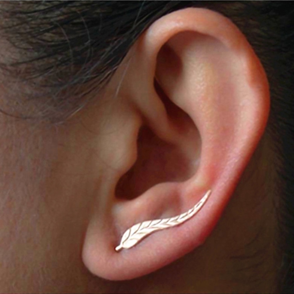 🆕 Silver Leaf Earrings